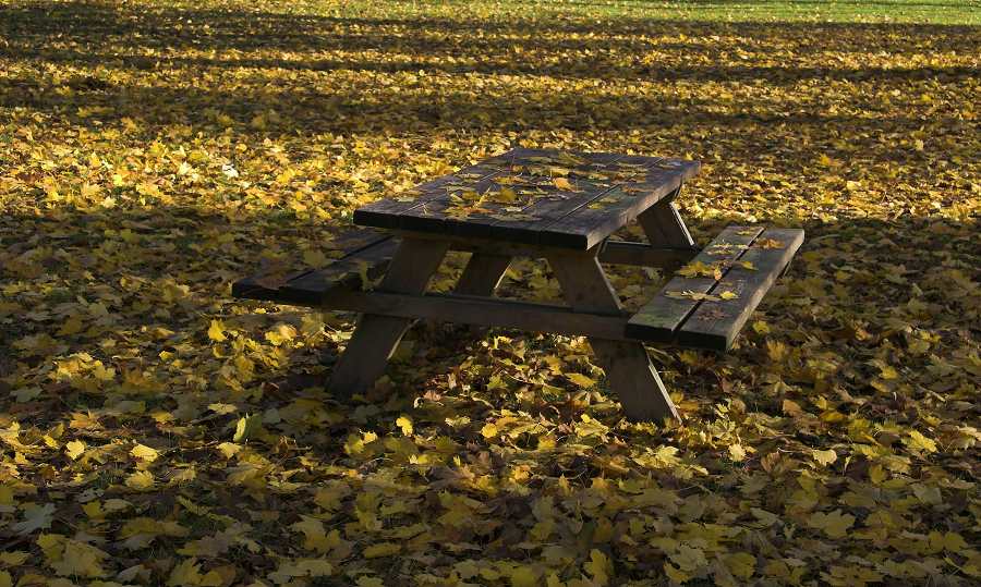 фото "Fall is here" метки: разное, 
