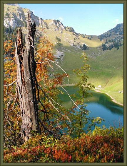 photo "In the autumn at bottom Shtokhorn." tags: landscape, autumn