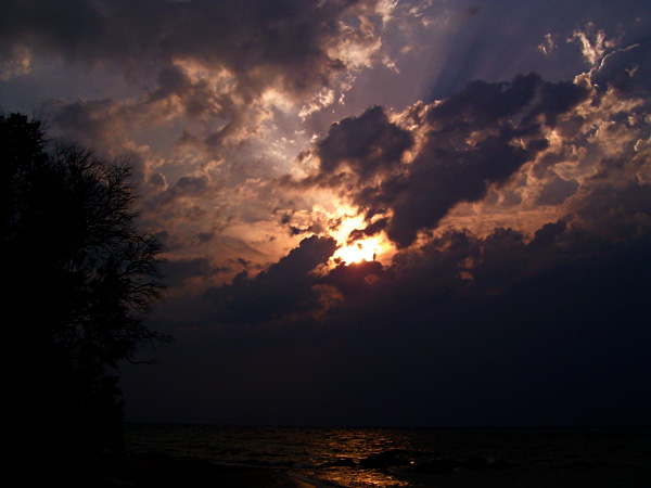 photo "Before gale" tags: landscape, forest, sunset