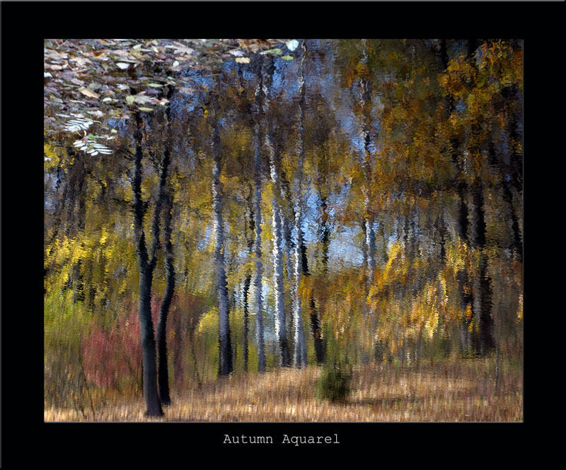 фото "Осенняя акварель" метки: пейзаж, осень