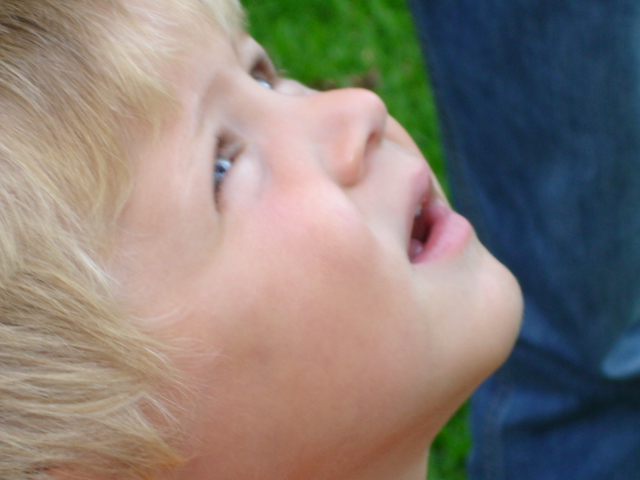 photo "looking to lemon tree" tags: portrait, children