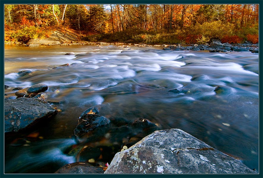 photo "Fall's Movement" tags: landscape, autumn, water