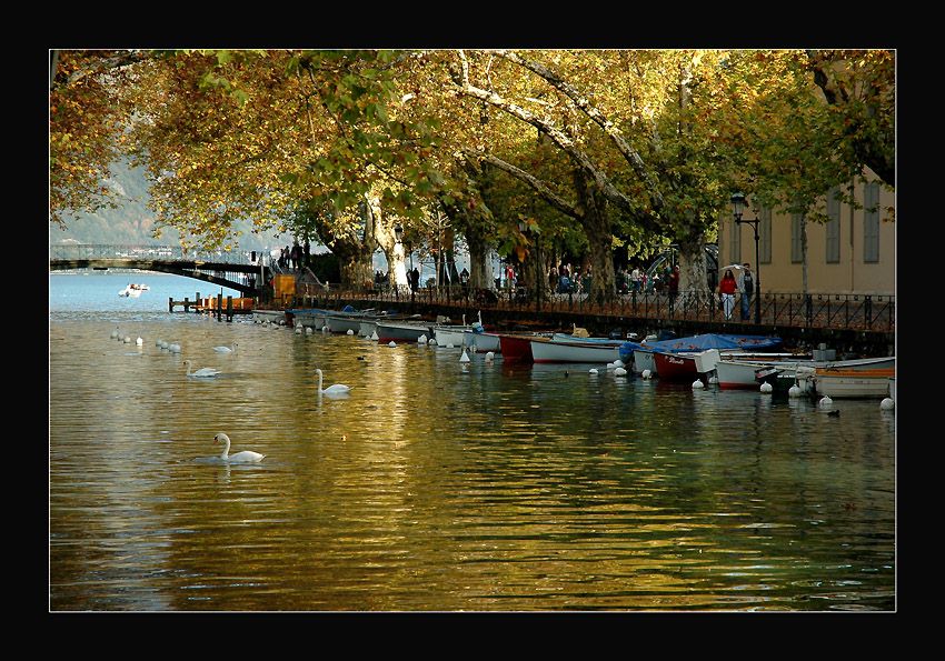 photo "Golden Evening" tags: landscape, autumn, water