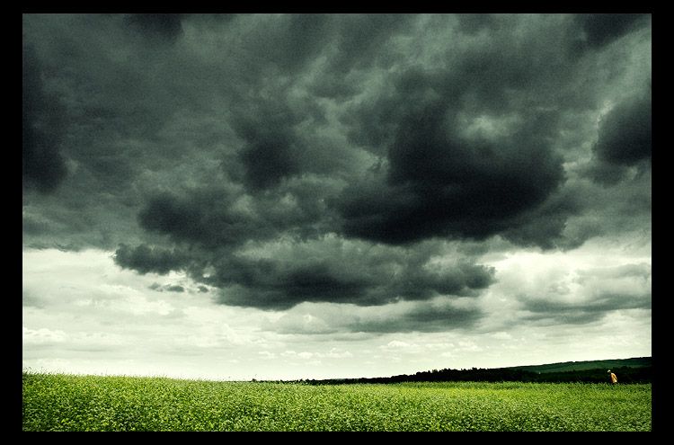 photo "home" tags: landscape, clouds, summer