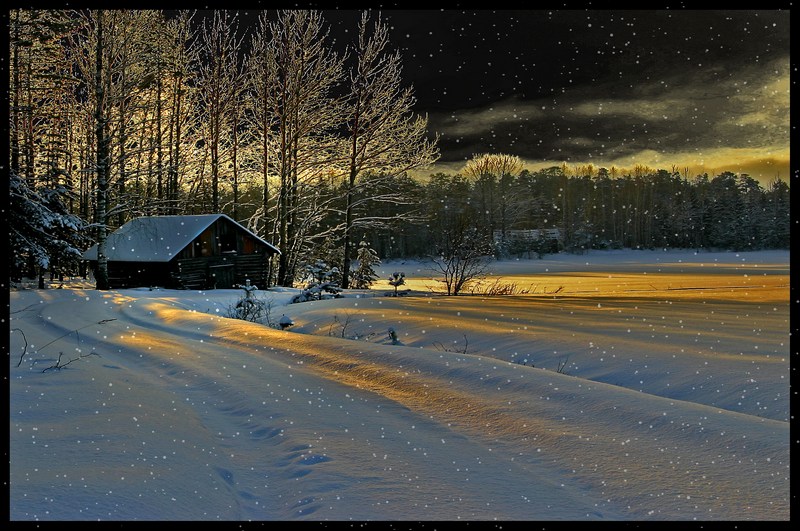 photo "Let it snow..." tags: montage, 