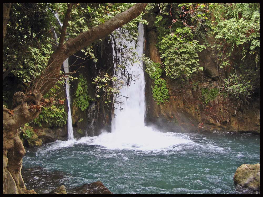 photo "***6" tags: landscape, forest, water