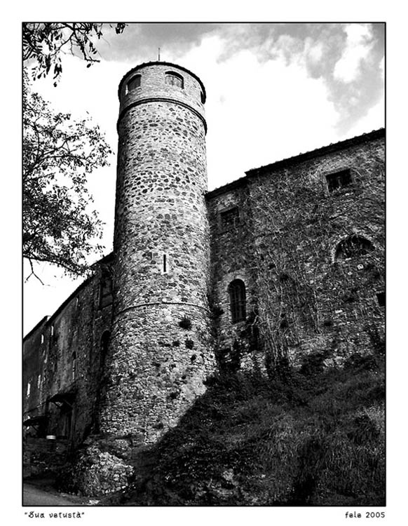 фото "The ancient tower" метки: архитектура, черно-белые, пейзаж, 