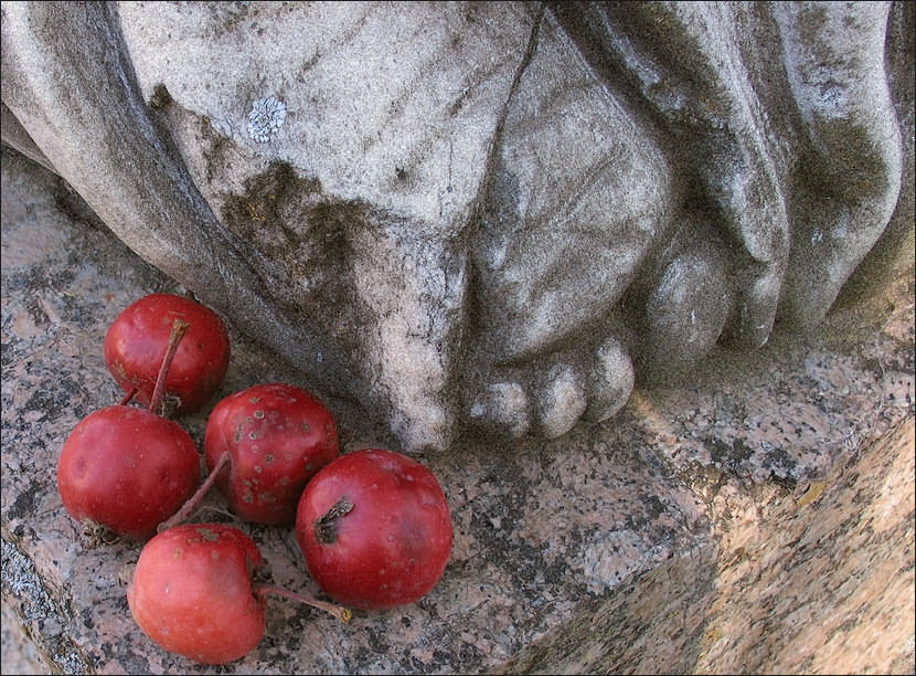 photo "Apples and heels))" tags: still life, nature, flowers