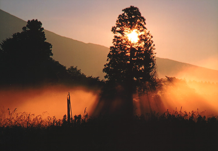 photo "Misty Morning Rays" tags: landscape, sunset