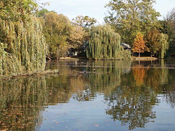 фото "Weeping willows" метки: пейзаж, вода