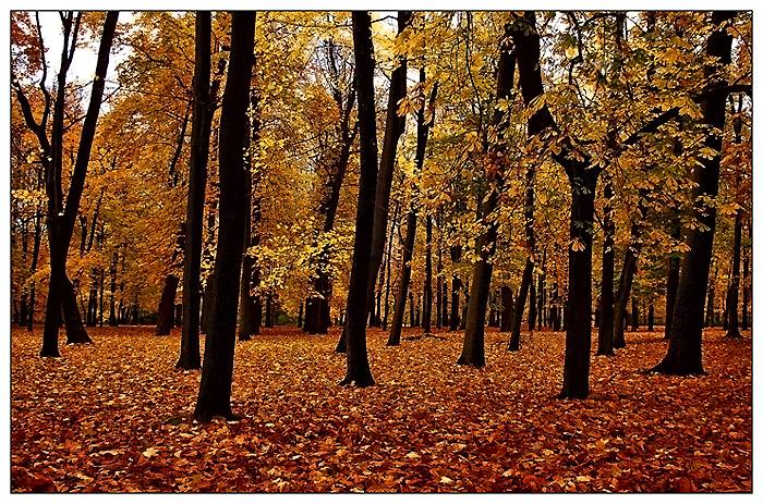 photo "***" tags: landscape, autumn