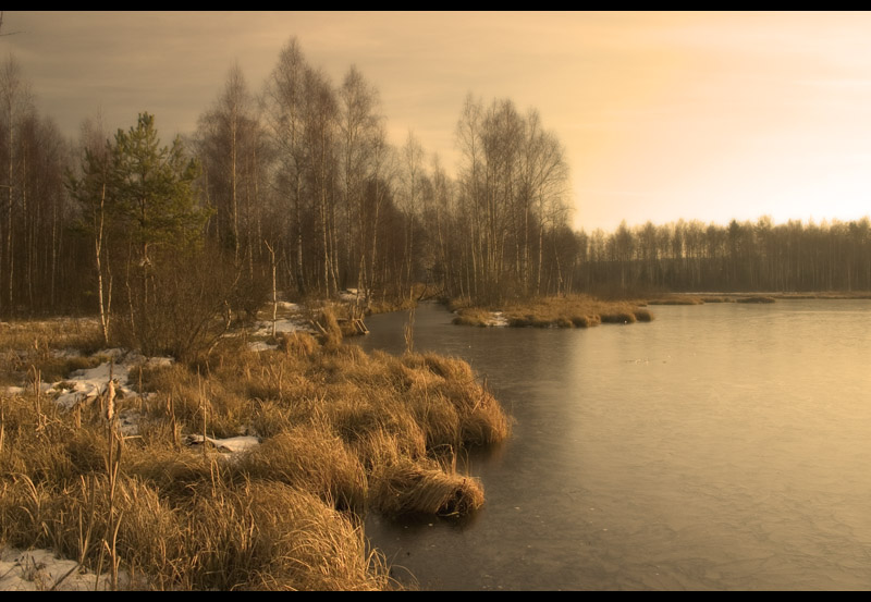 photo "***" tags: landscape, autumn, forest