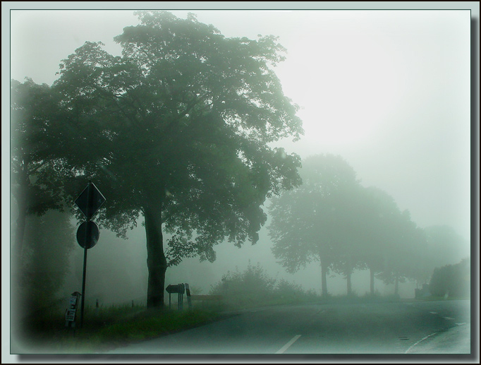 photo "Foggy prospect..." tags: nature, travel, Europe