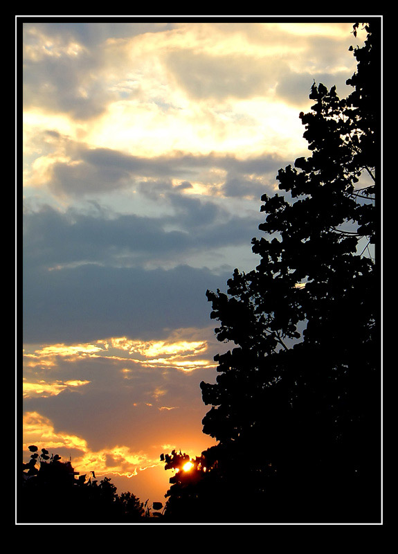 photo "Sunset" tags: landscape, sunset