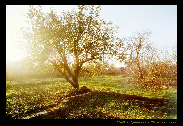 photo "Golden Fall" tags: landscape, autumn