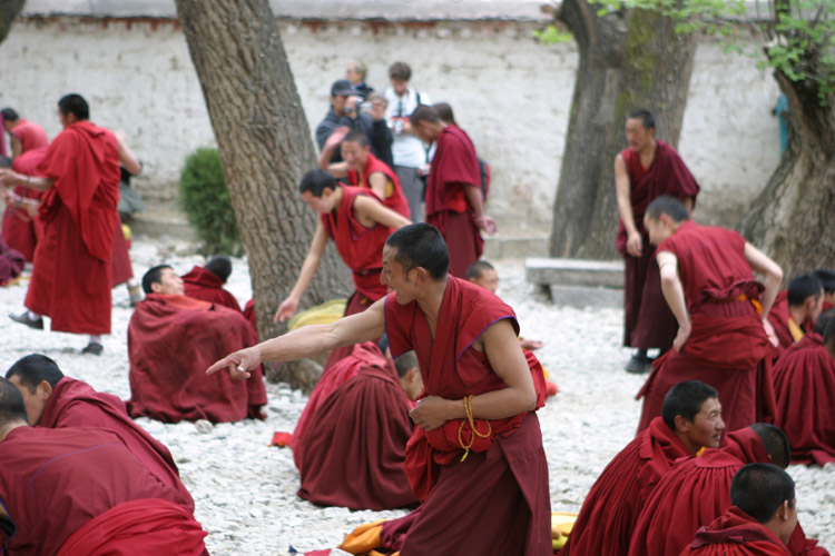 фото "tibet series" метки: , 