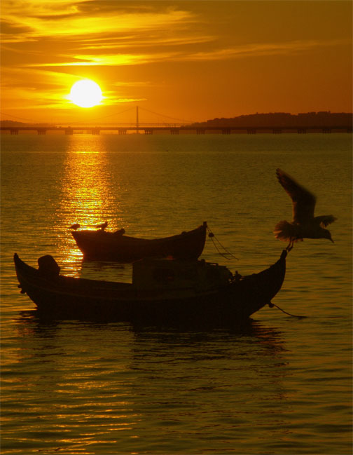 photo "Boats" tags: landscape, sunset