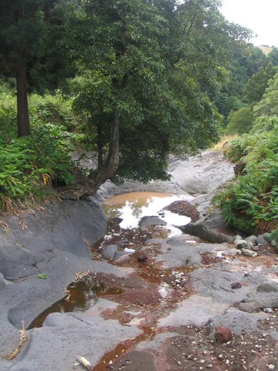 photo "Ribeira" tags: nature, 