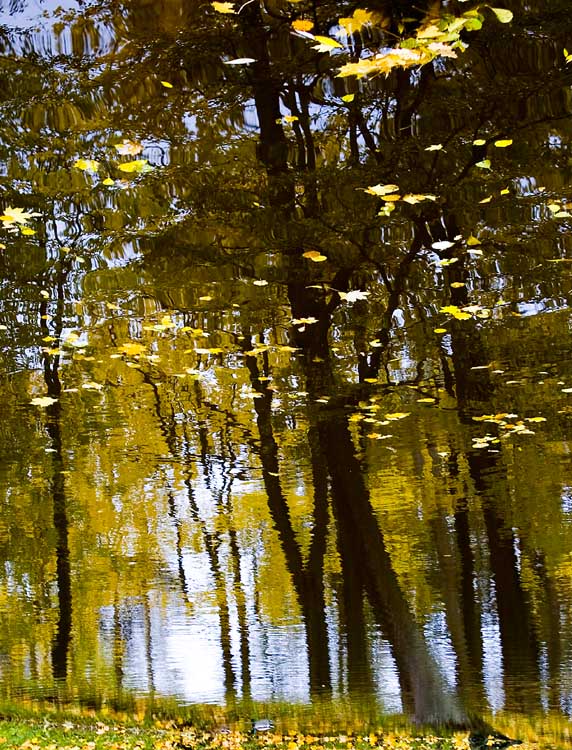 photo "Autumn Reflections" tags: landscape, autumn, water