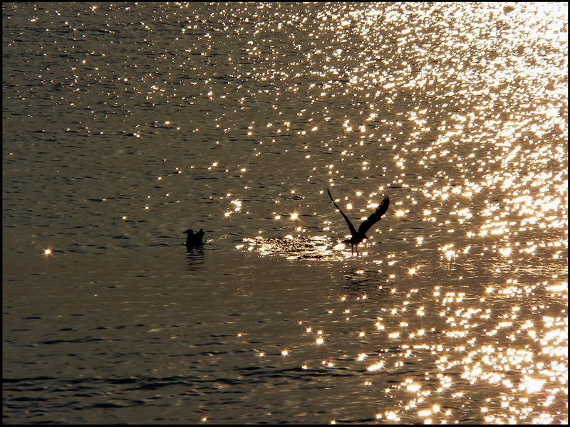photo "***" tags: nature, landscape, sunset