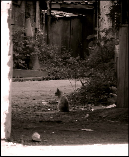 photo "***" tags: genre, old-time, 