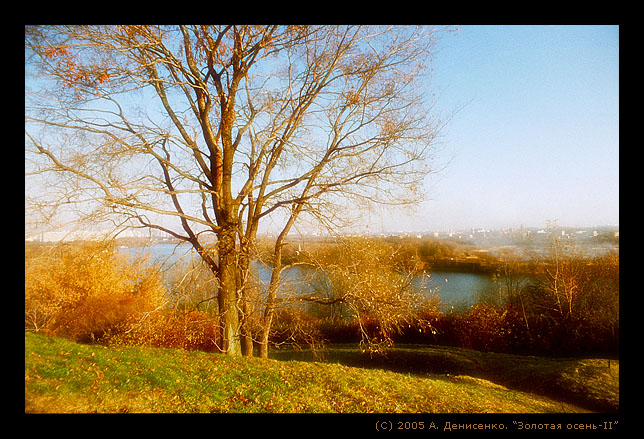 фото "Золотая осень II" метки: пейзаж, осень