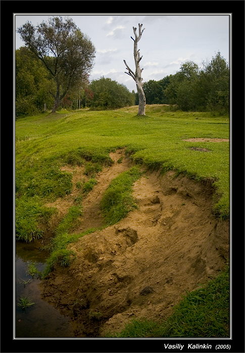 photo "Judgement" tags: landscape, nature, autumn