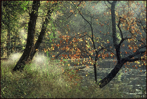 photo "***" tags: nature, landscape, autumn
