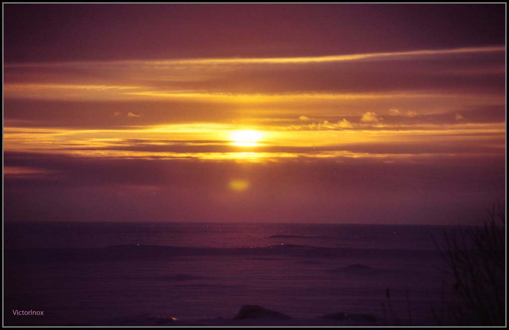 фото "The Sun Of Winter" метки: пейзаж, закат