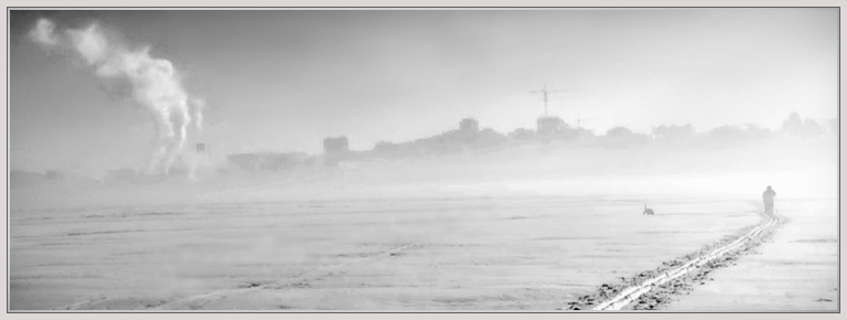 photo "There where a life" tags: landscape, black&white, winter