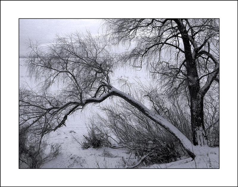 photo "***" tags: landscape, winter