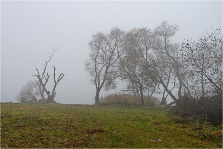 фото "Соответствие настроению" метки: пейзаж, лес, осень