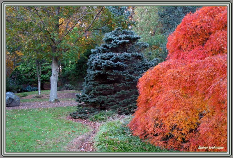 фото "Autumn colors" метки: пейзаж, природа, осень