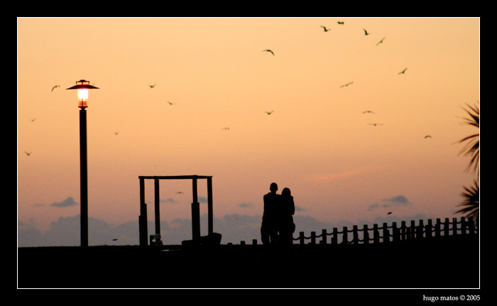 photo "love..." tags: landscape, sunset