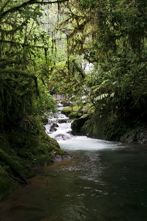 photo "Passage of Light" tags: landscape, mountains, water