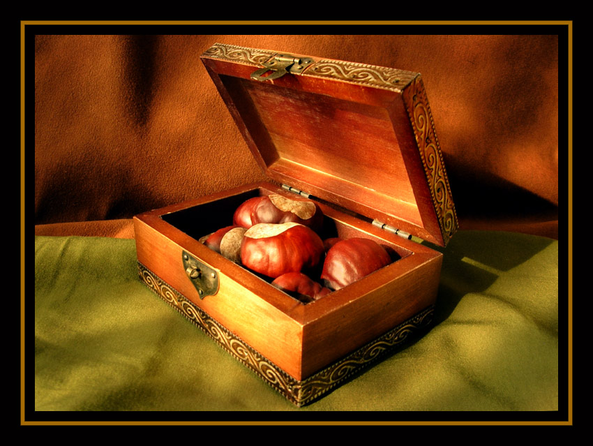 photo "Secrets of the fall" tags: still life, 