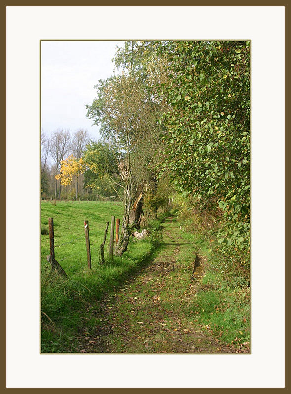 photo "A country road" tags: landscape, autumn