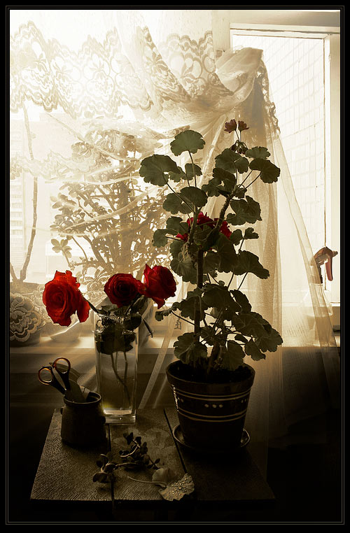 photo "Geranium and roses" tags: still life, 