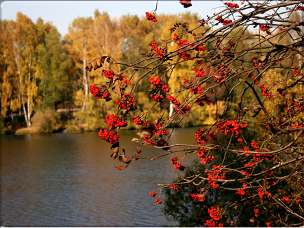 фото "кусочек осени" метки: пейзаж, вода, осень