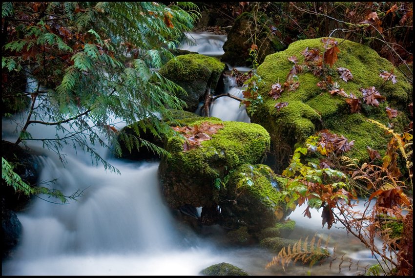 photo "Late Fall" tags: landscape, autumn, water