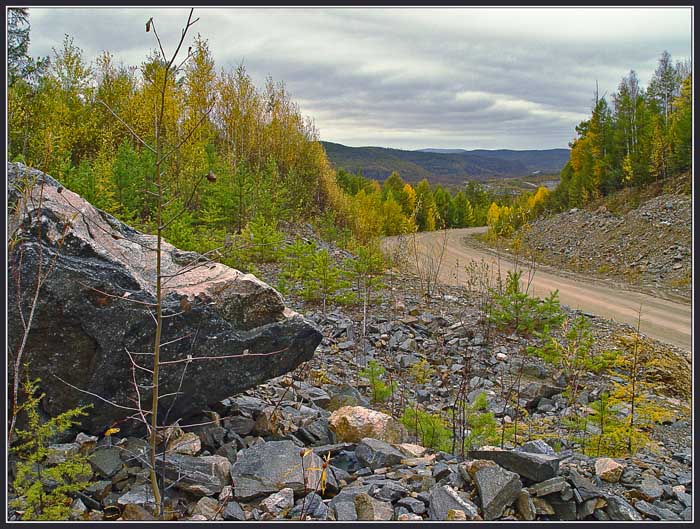 photo "The road" tags: landscape, forest