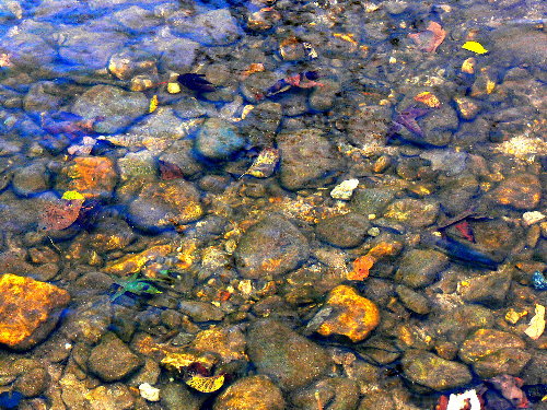 photo "River Stones" tags: nature, landscape, water