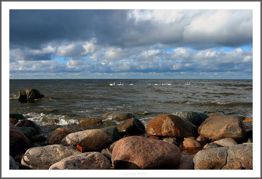 photo "Baltic sea..." tags: nature, 