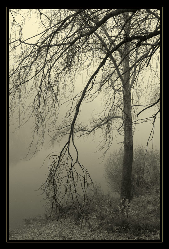 photo "psychographics" tags: landscape, black&white, autumn