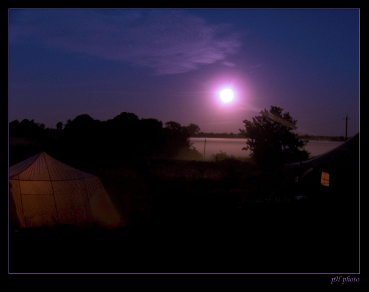 photo "frog-2" tags: landscape, night