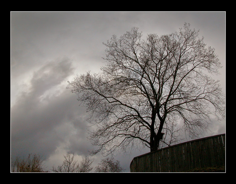 photo "Gloomy evening" tags: landscape, autumn