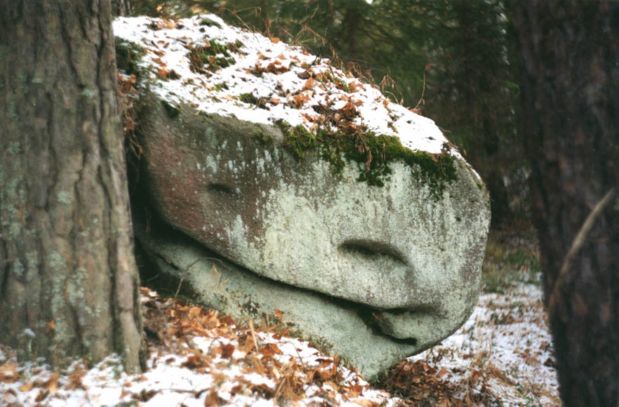 photo "Smileing stone" tags: landscape, portrait, forest