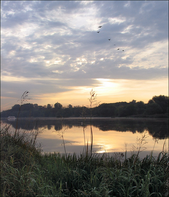 photo "Autumn flight." tags: landscape, water