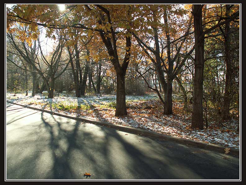 photo "The sun light penetration into the MSU (Uni) campus park." tags: landscape, autumn