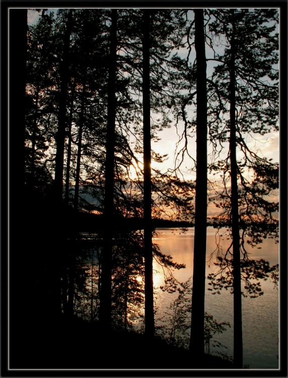 фото "Закат на оз. Вендюрское" метки: пейзаж, закат, лес